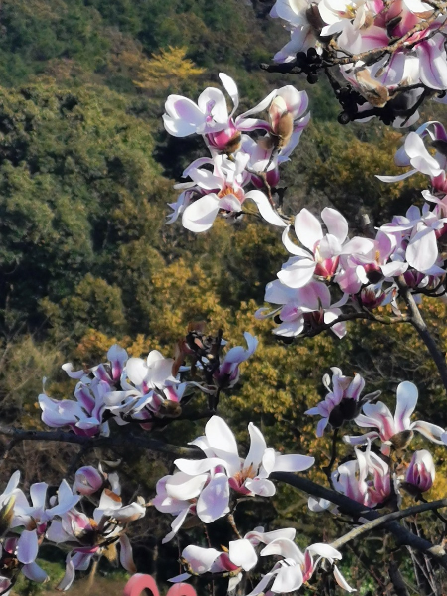 Photography by Jia Xu