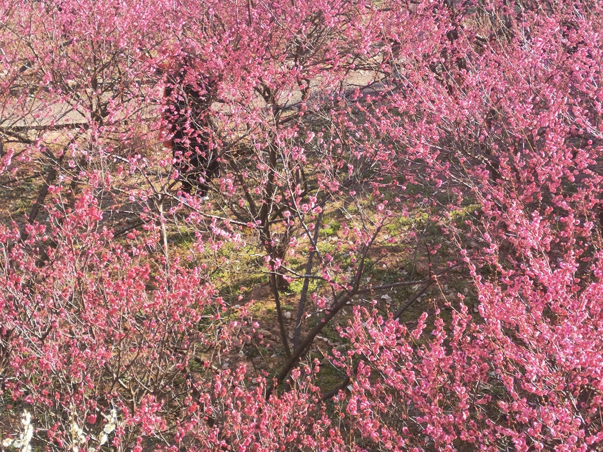 Photography by Jia Xu