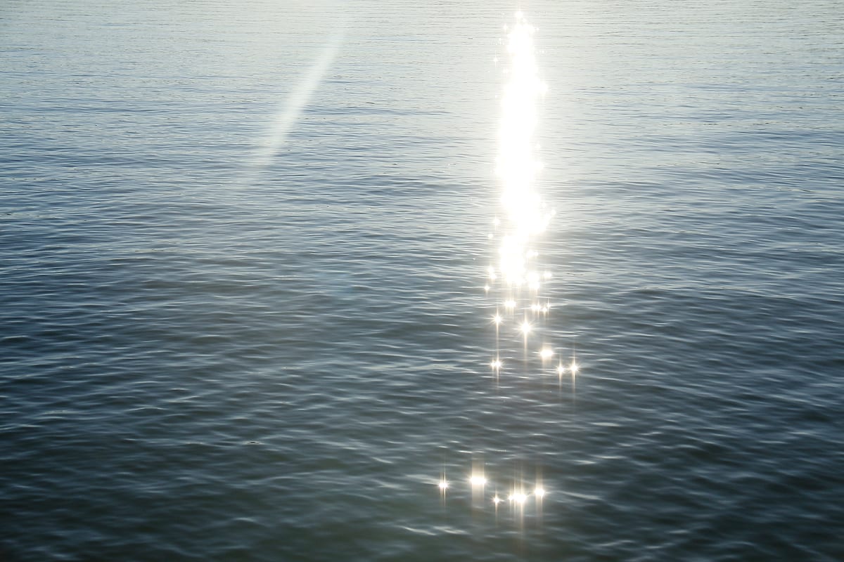 Sunlight glittering on the surface of the river.