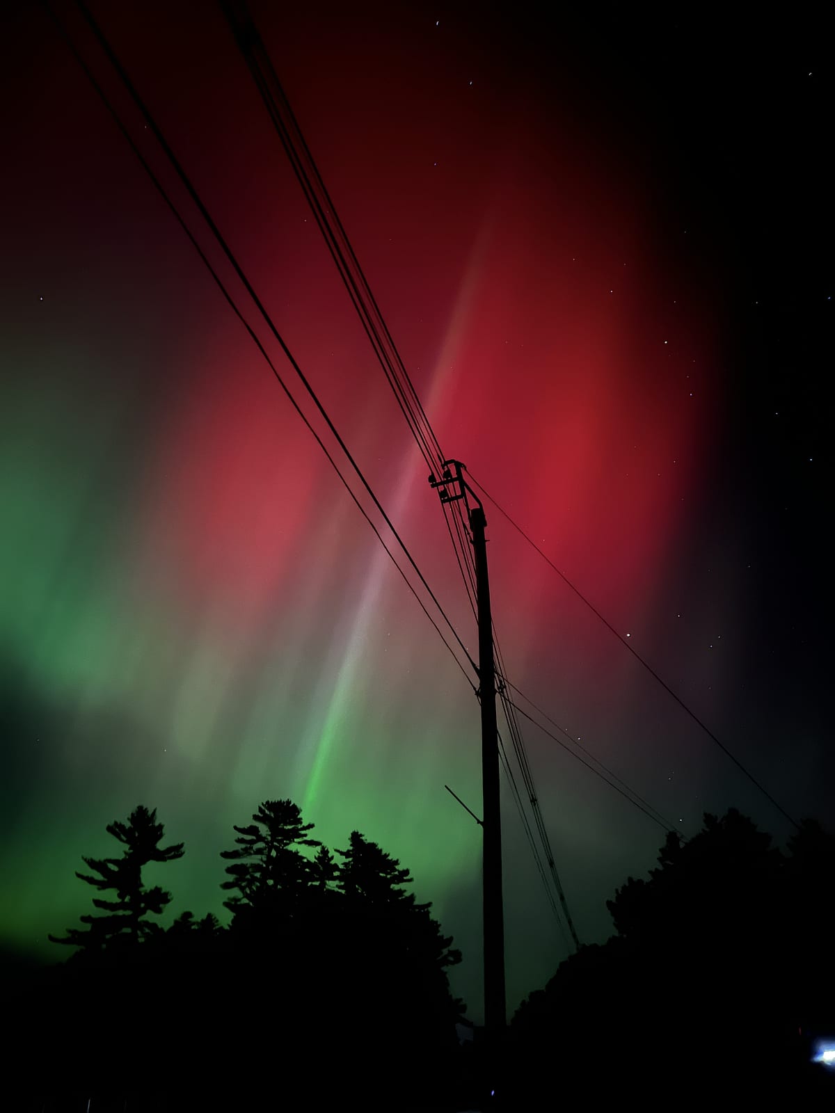 Red and green aurora over pine trees, a power pole and its wires in silhouette.
