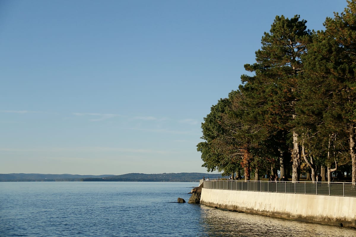 A seawall curves out into the calm river, trees along it.