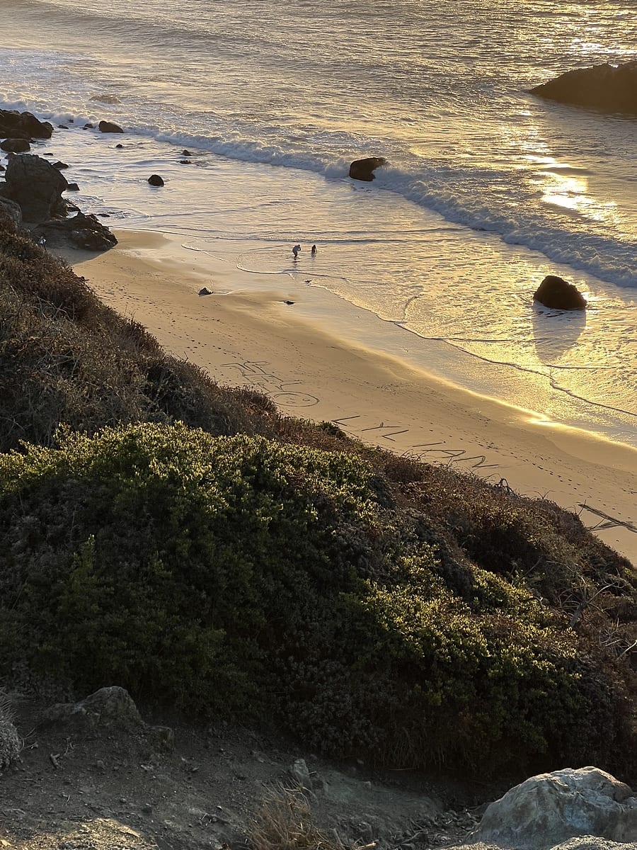Late sun on a beach below a hillside, the tide lines bright.