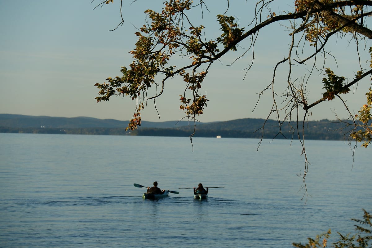 Two kayakers paddle away under an overhanging branch.