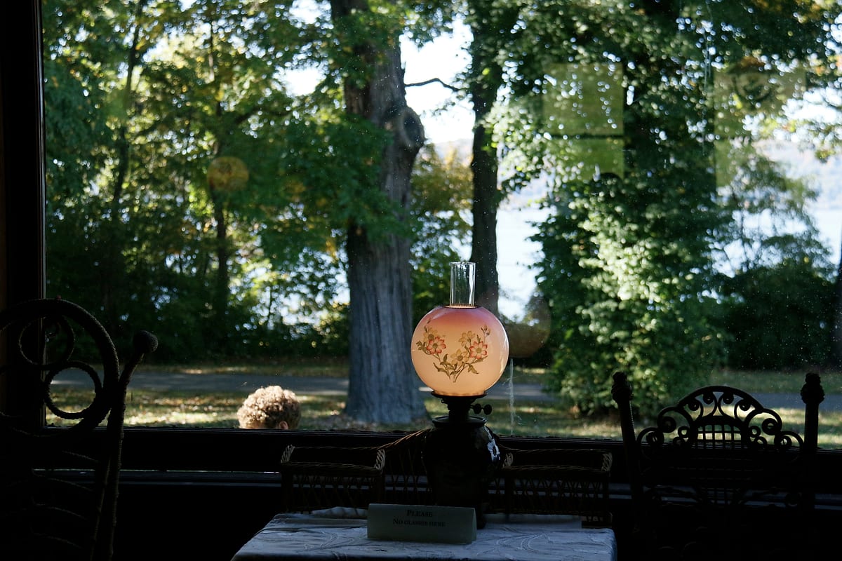 A glass oil lamp painted with flowers, in front of a window onto trees.