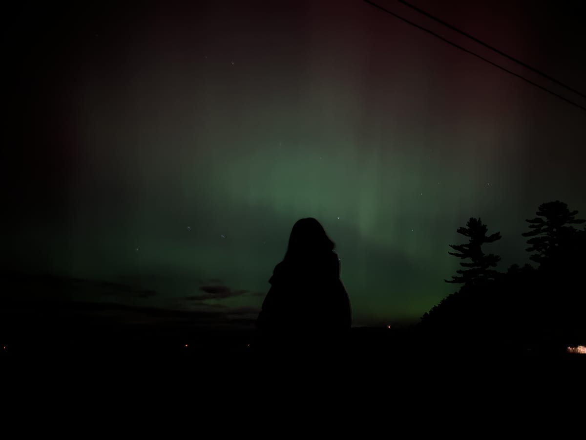 A person seen from behind, in silhouette, watching a green aurora; pines on the right.